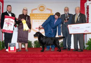 Rowdy - Group 3rd at the AKC National Championship