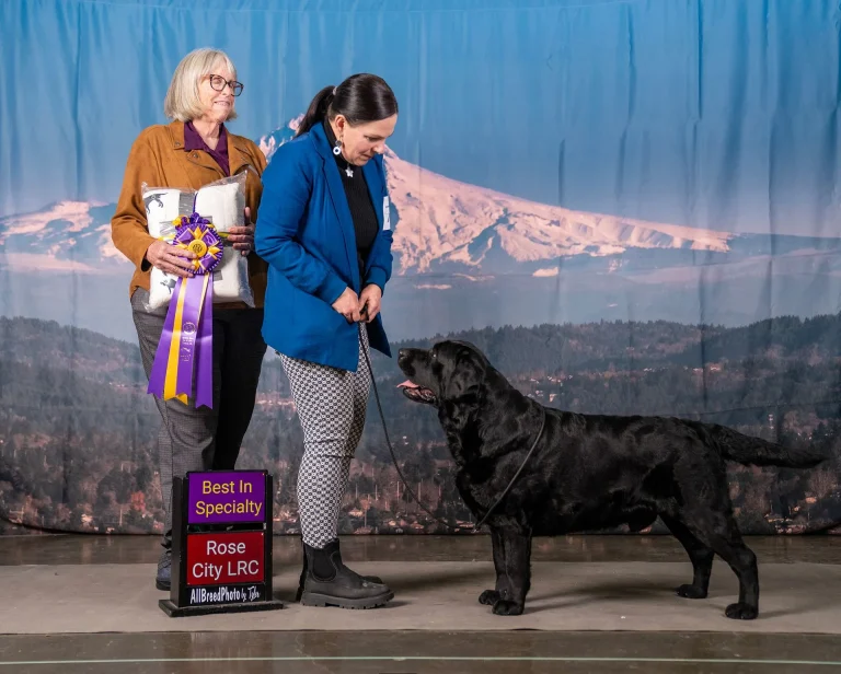 JoshBISSRCLRC2024Reduced 1920w.jpg 768x616