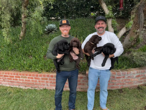 Laguna Labradors Owner