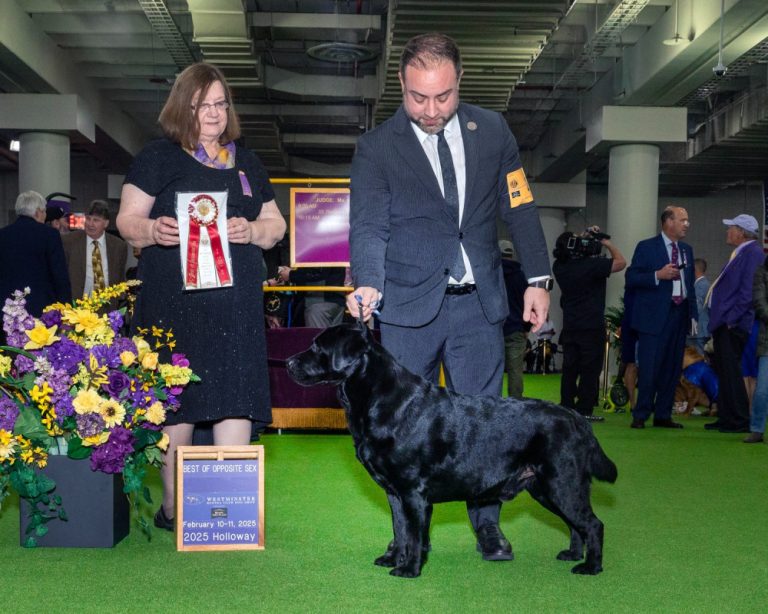 021125 006 w1000 o 768x614