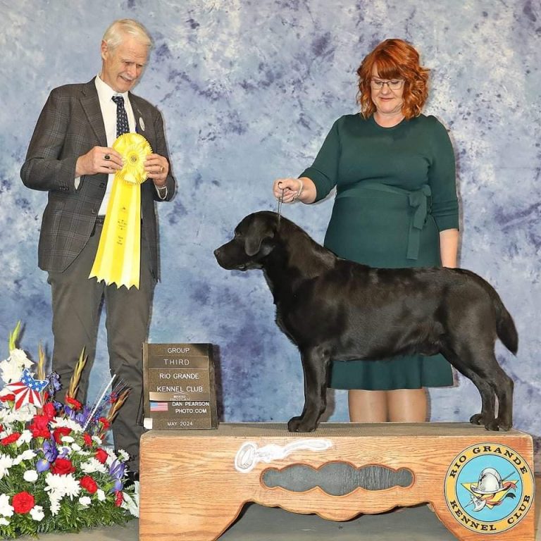 Union Hill's Fire On The Mountain "Marshall"