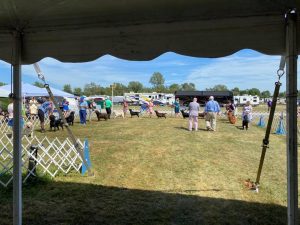 Midwest Labrador Retriever Club of Iowa (MLRCI)