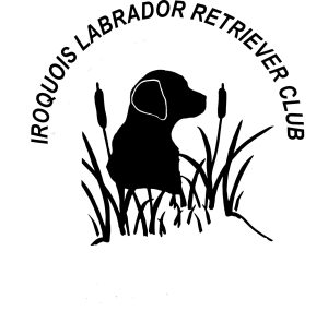 Iroquois Labrador Retriever Club (ILRC) Logo