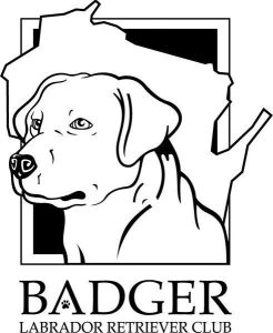 Badger Labrador Retriever Club (BLRC) Logo