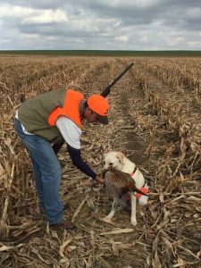 Spirit of St. Louis Labrador Retriever Club (SSLLRC) Hunt Test