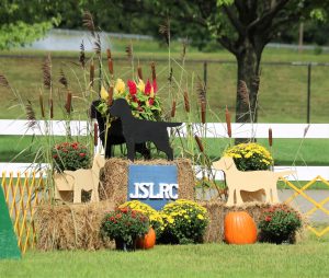 Jersey Skylands Labrador Retriever Club (JSLRC) Specialty