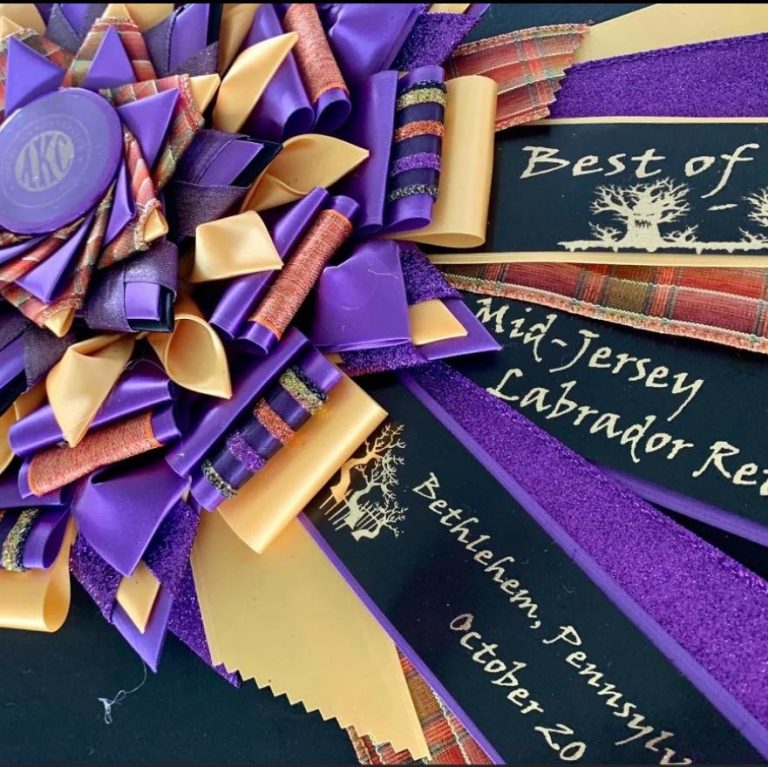 MJLRC Specialty Shows 2025