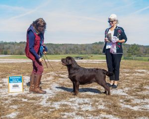 GALRC Specialty Shows 2025