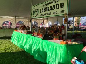 Iroquois Labrador Retriever Club (ILRC) Awards