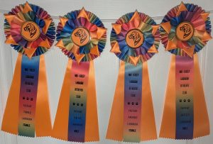 Mid Jersey Labrador Retriever Club (MJLRC) FASTCAT