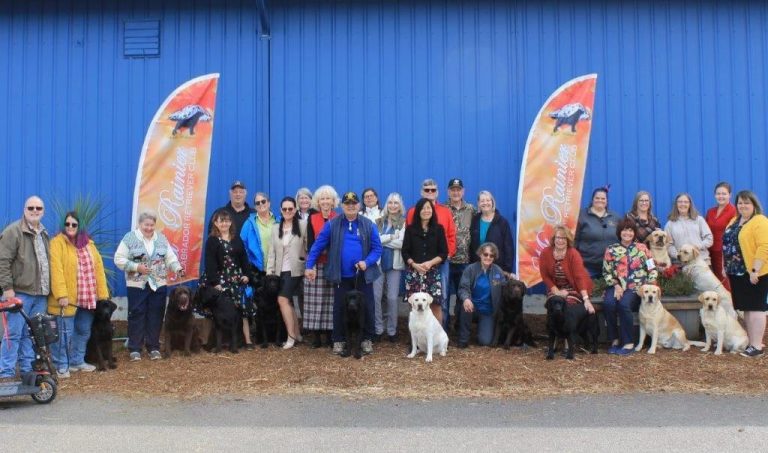 Mt. Rainier Labrador Retriever Club (MRLRC)