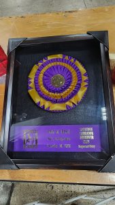 Keystone Labrador Retriever Club (KLRC) Specialty Show Best of Breed