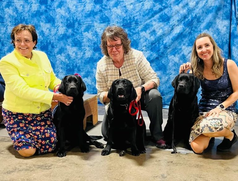 Papago Labrador Retriever Club Arizona Specialty Dog Show