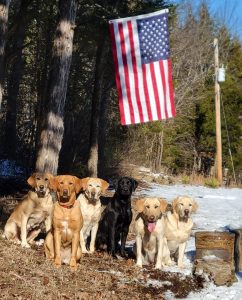 Valedictorian Retrievers