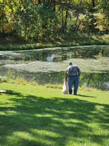 Winnebago Labrador Retriever Club Hunt Test Training