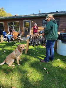 Winnebago Labrador Retriever Club Hunt Tests
