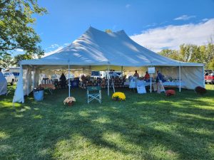 Iroquois Labrador Retriever Club (ILRC) Conformation Show