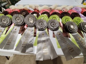 Hoosier Labrador Retriever Club Specialty Awards