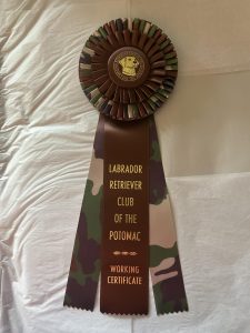 AKC Working Certificate