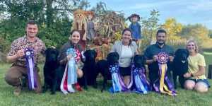 Winnebago Labrador Retriever Club (WLRC) Specialty Show