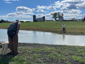 Potomac Labrador Hunt Tests