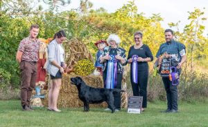 Winnebago Labrador Retriever Club Specialty Show