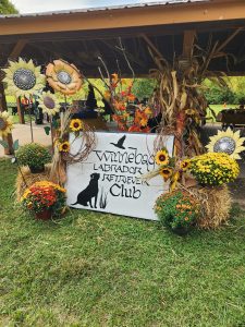 Winnebago Labrador Retriever Club Specialty Show