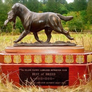 Island Pacific Labrador Retriever Club (IPLRC)