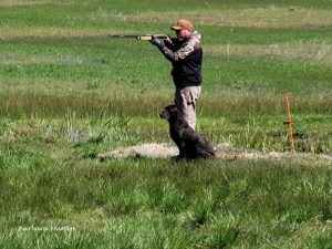 Raney Ranch Hunt Test