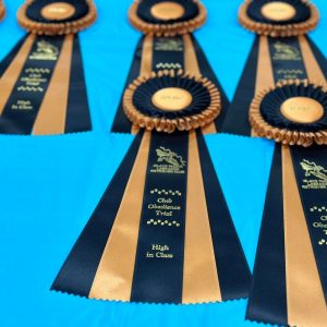 Island Pacific Labrador Retriever Club (IPLRC) Award