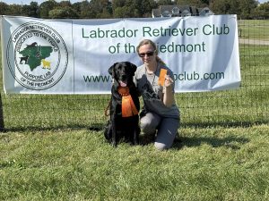 Labrador Retriever Club of the Piedmont (LRCP) Conformation AKC Junior Hunt Tests
