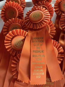 Labrador Retriever Club of the Piedmont (LRCP) Conformation AKC Junior Hunt Tests
