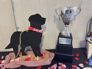 Labrador Retriever Club of the Piedmont (LRCP) Specialty Show