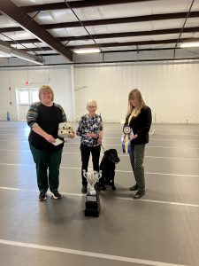 Labrador Retriever Club of the Piedmont (LRCP) Obedience