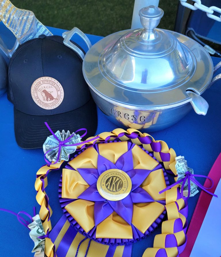 Labrador Retriever Club of Southern California Specialty AKC Dog Show