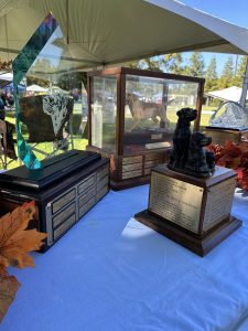 Golden Gate Labrador Retriever Club Specialty AKC Show Awards