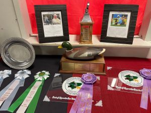Labrador Retriever Club of the Piedmont (LRCP) Conformation AKC Awards