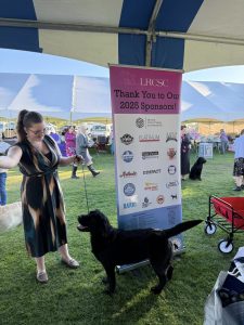 Labrador Retriever Club of Southern California Specialty Dog Show Sponsors 2025