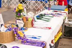 Midwest Labrador Retriever Club of Iowa Dog Awards