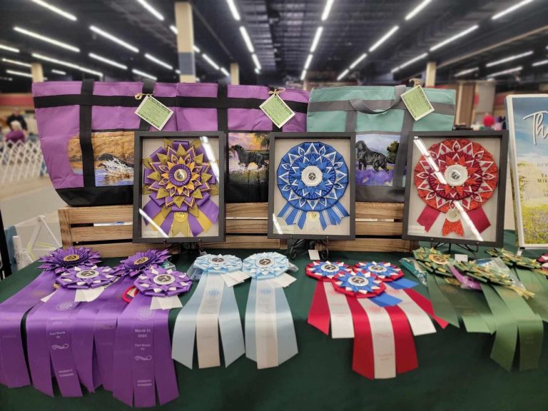 Dallas-Ft. Worth Labrador Retriever Club (DFWLRC) Awards