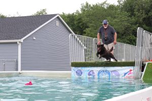 Labrador Retriever Club of the Pioneer Valley (LRCPV) Dock Diving