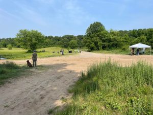 Labrador Retriever Club of the Pioneer Valley (LRCPV) Hunt Test