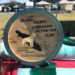 Island Pacific Labrador Retriever Club (IPLRC) BOB