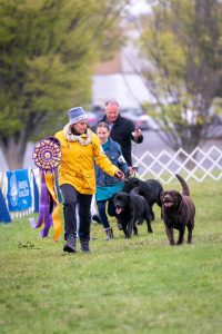 Potomac Best of Breed 2025