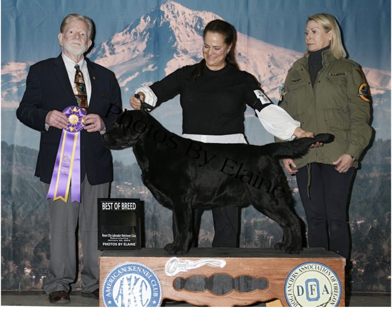 497813364 24566680542920443 4000746669734923039 n 768x605