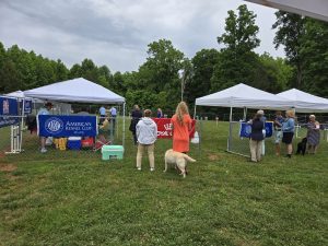Raleigh-Durham Labrador Retriever Club (RDLRC) Specialty Show Raffle AKC Dog