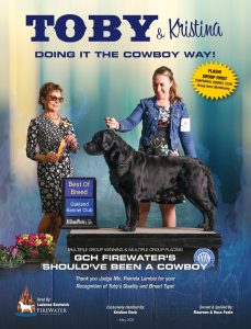 GCHB CH Firewater's Should'Ve Been A Cowboy "Toby"