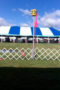 Northern Ohio Labrador Retriever Club (NOLRC) Specialty Show