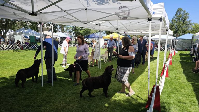 505079504 24374818922110382 7299424149631610684 n 768x432