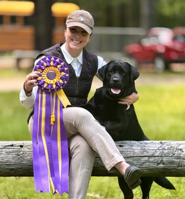 Gallivant Labradors Party